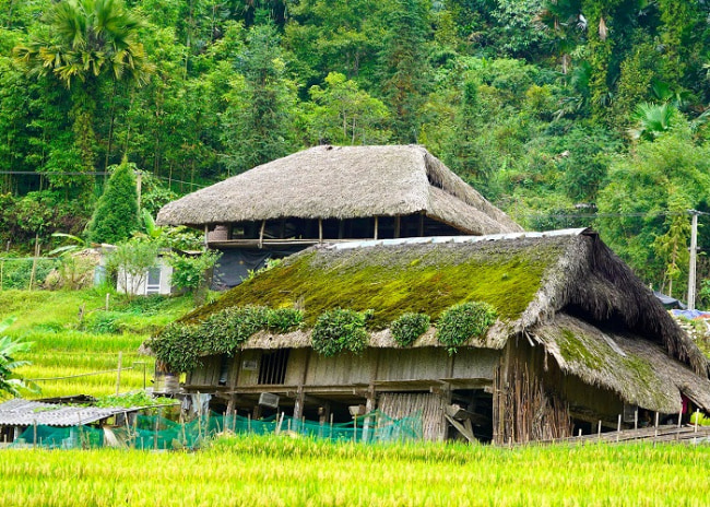 Travel Sense Asia™