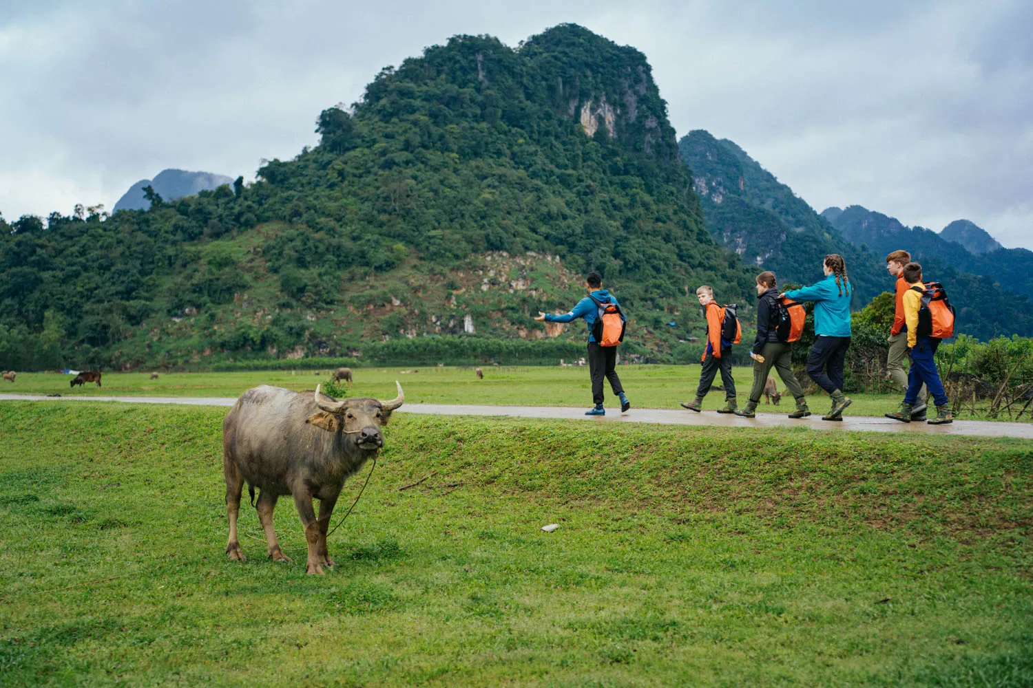 Behind the scenes: Discover the real ‘King Kong’ world in Phong Nha, Vietnam 1 Phong nha quang binh king kong