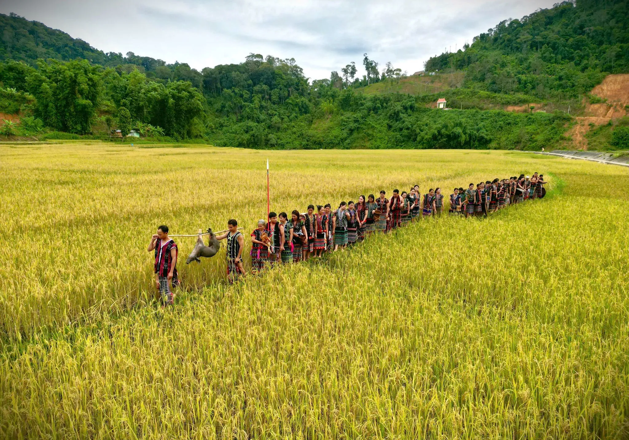 Beyond the golden rice fields: The ethnic harvest celebrations in Vietnam 1 harvest celebrations Vietnam ethnic minorities