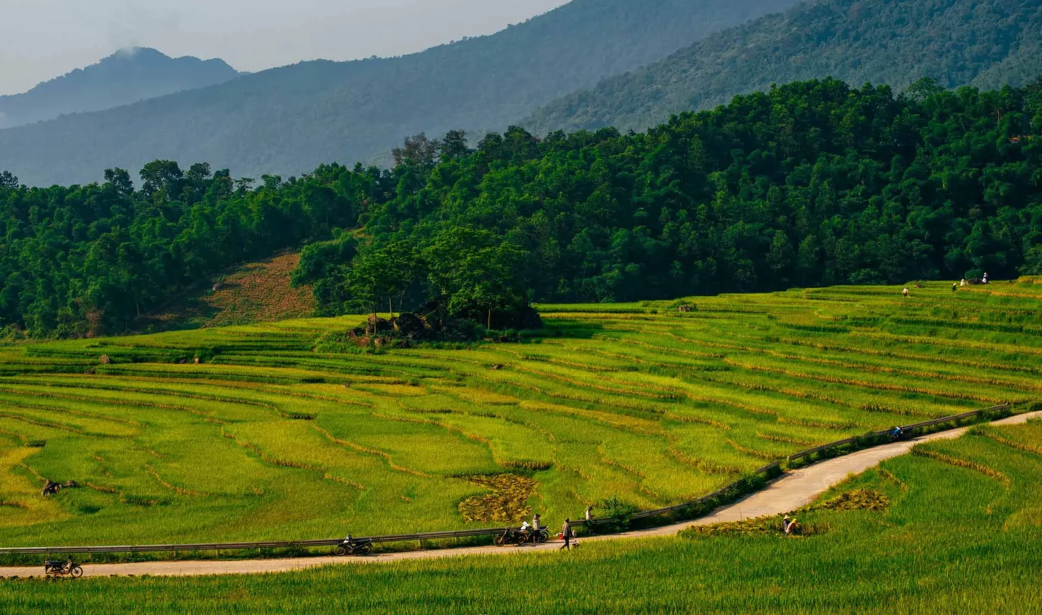 Pu Luong rice terraces: A hidden place to explore in Vietnam 1 pu luong rice terraces